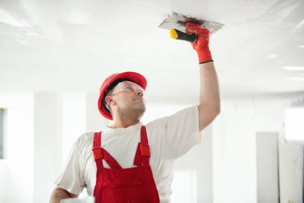 Best Eco-Friendly and Low-VOC Painting  in Midlothian, TX